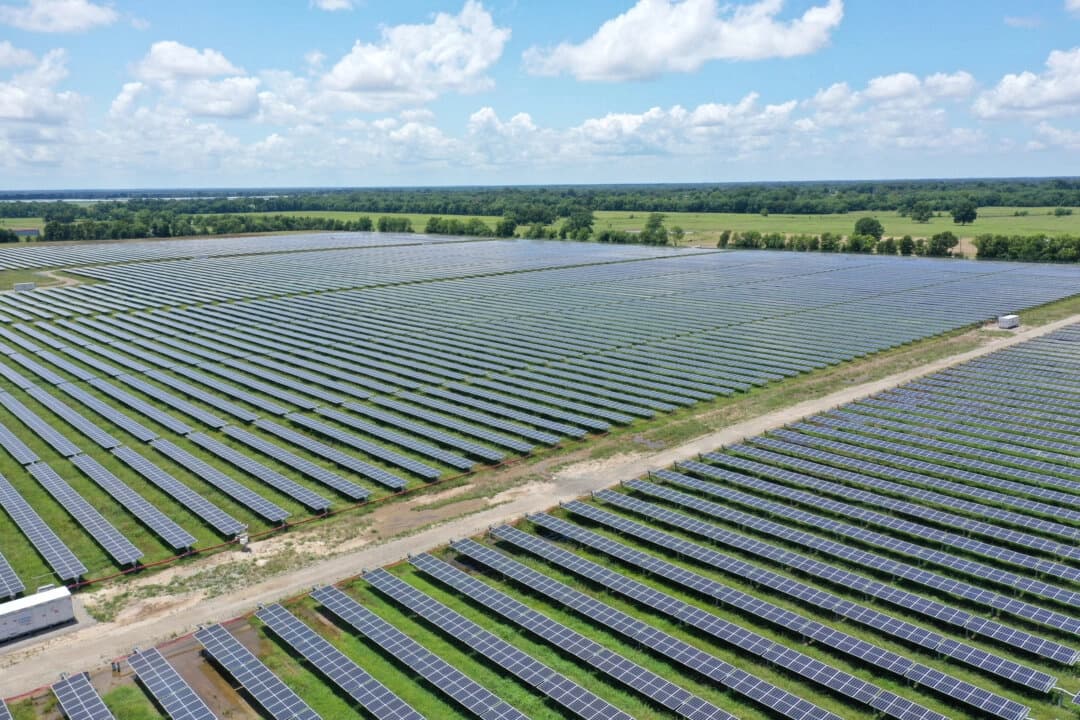 Paneles solares en una instalación de Deport, Texas, el 15 de julio de 2021. (Drone Base/Reuters)
