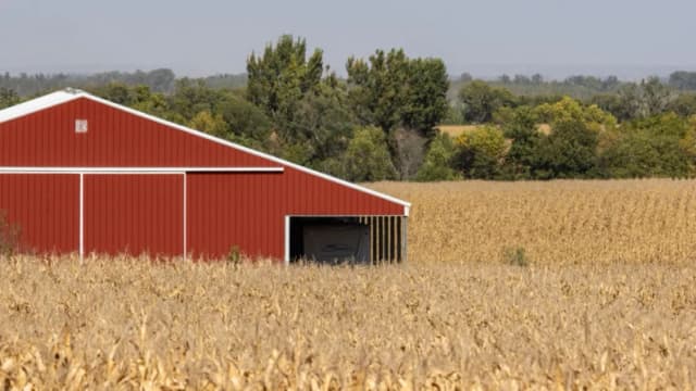 EE. UU. utilizará ingresos de los aranceles para ayudar a los agricultores: Trump
