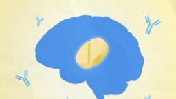 Leucovorina podría ser un nuevo tratamiento prometedor para el autismo: Aquí el por qué