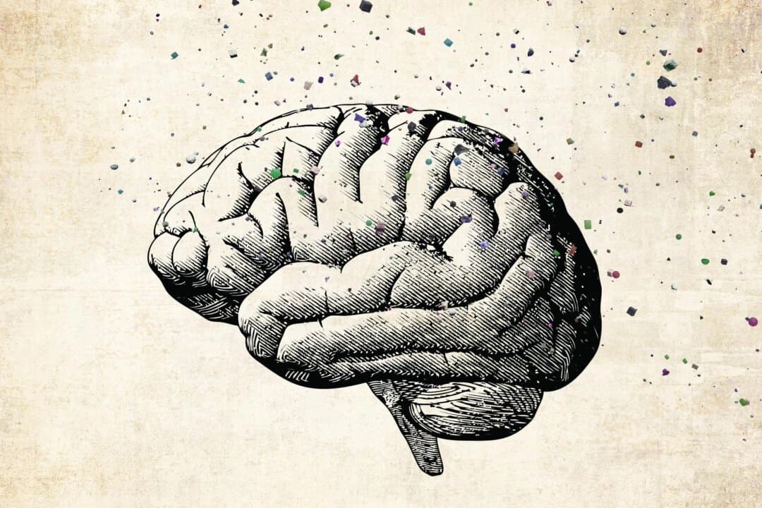 Limpiando el cerebro: Estrategias de la MTC para enfrentar el deterioro cognitivo causado por toxinas