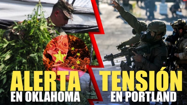 Granjas de marihuana chinas desatan crisis en EEUU | Trump despliega tropas: lucha anti-terrorista