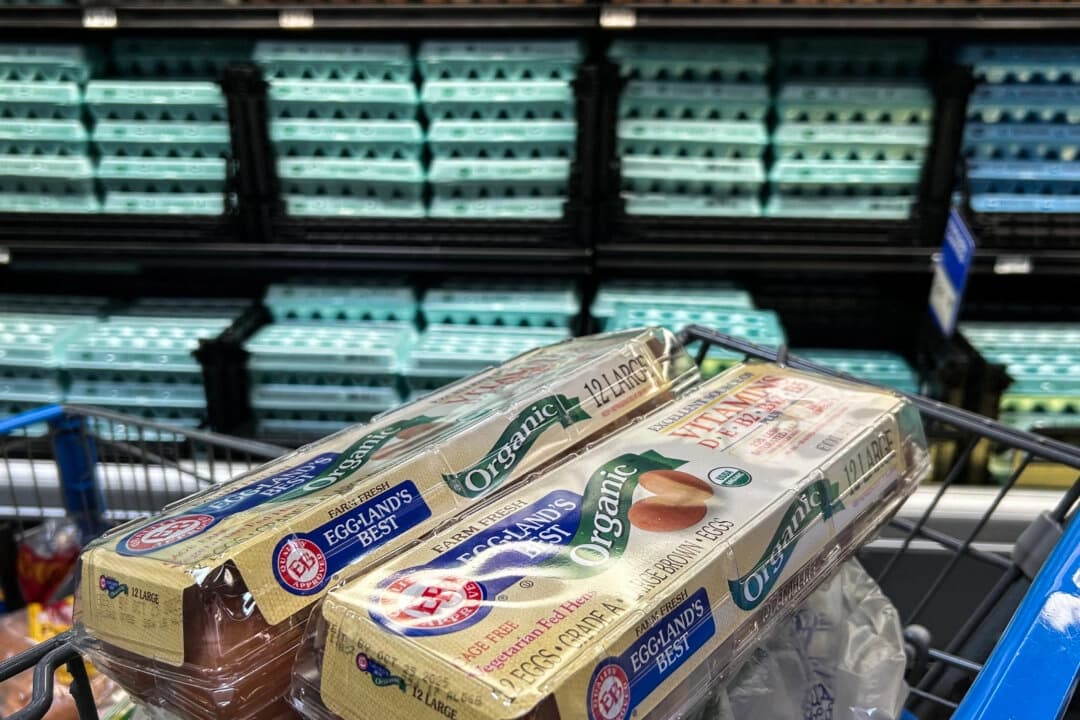 Cal-Maine registra fuertes ventas por la popularidad de los huevos especiales y alimentos preparados
