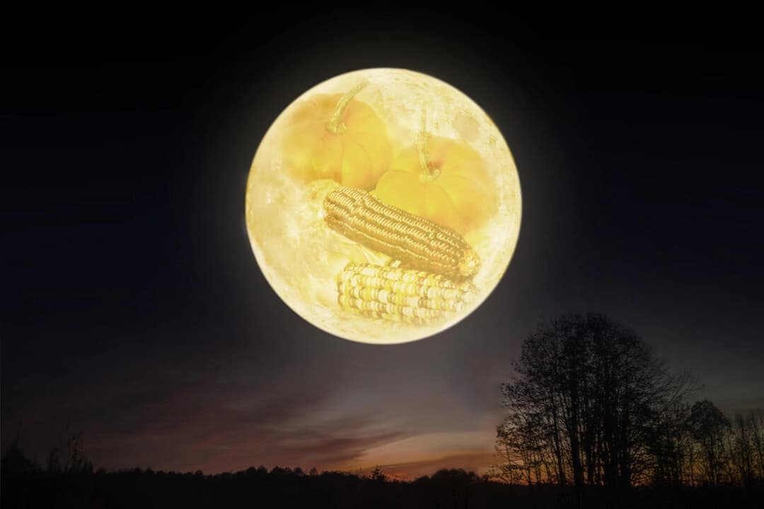 Ilustración de la luna llena de cosecha, que se produce el 6 de octubre de este año. (The Epoch Times/Shutterstock/Makic Slobodan/Dan Kosmayer/Jennifer-Davis)