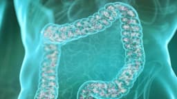 Conexión entre estrés e intestino: cómo romper el ciclo cuando la ansiedad provoca aumento de peso