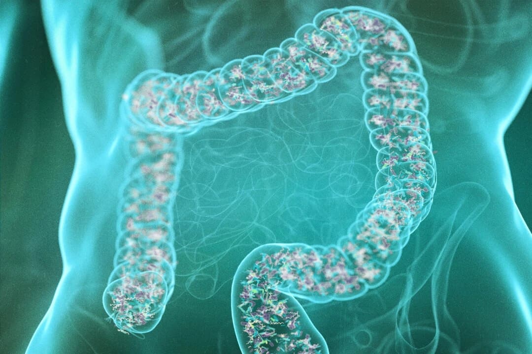 Conexión entre estrés e intestino: cómo romper el ciclo cuando la ansiedad provoca aumento de peso