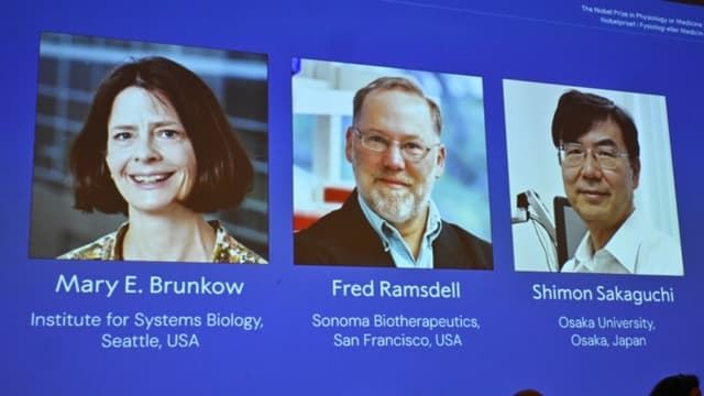 Tres científicos ganan Premio Nobel de Medicina por descubrimientos sobre sistema inmunológico