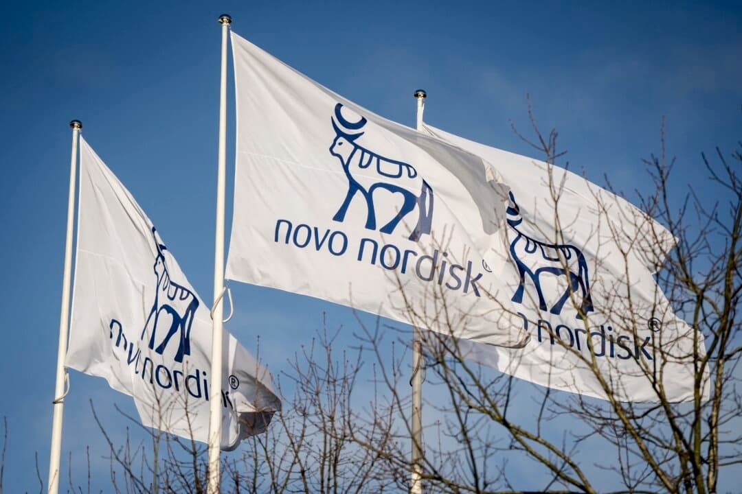 Banderas con el logotipo de Novo Nordisk, fabricante de Ozempic y Wegovy, en una imagen de archivo. (Mads Claus Rasmussen/Ritzau Scanpix/AFP a través de Getty Images)
