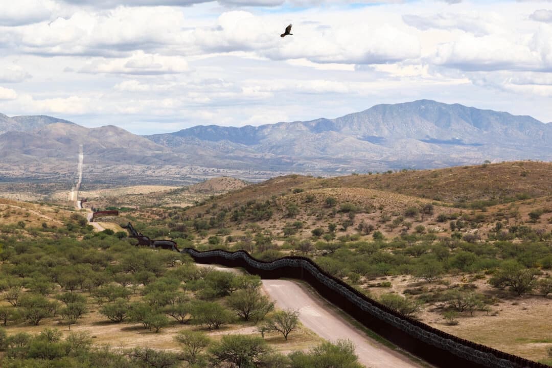 Un ave sobrevuela la frontera entre Estados Unidos y México en Nogales, Arizona, el 16 de septiembre de 2025. (Charly Triballeau/AFP via Getty Images)