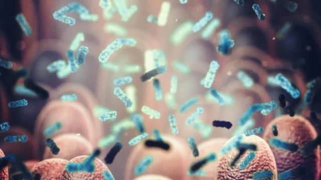 La prueba sencilla que podría acabar con su síndrome del intestino irritable