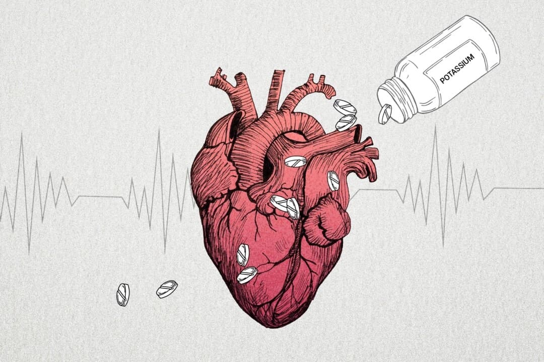 Nuevas investigaciones en la protección cardiaca. (The Epoch Times, Shutterstock)
