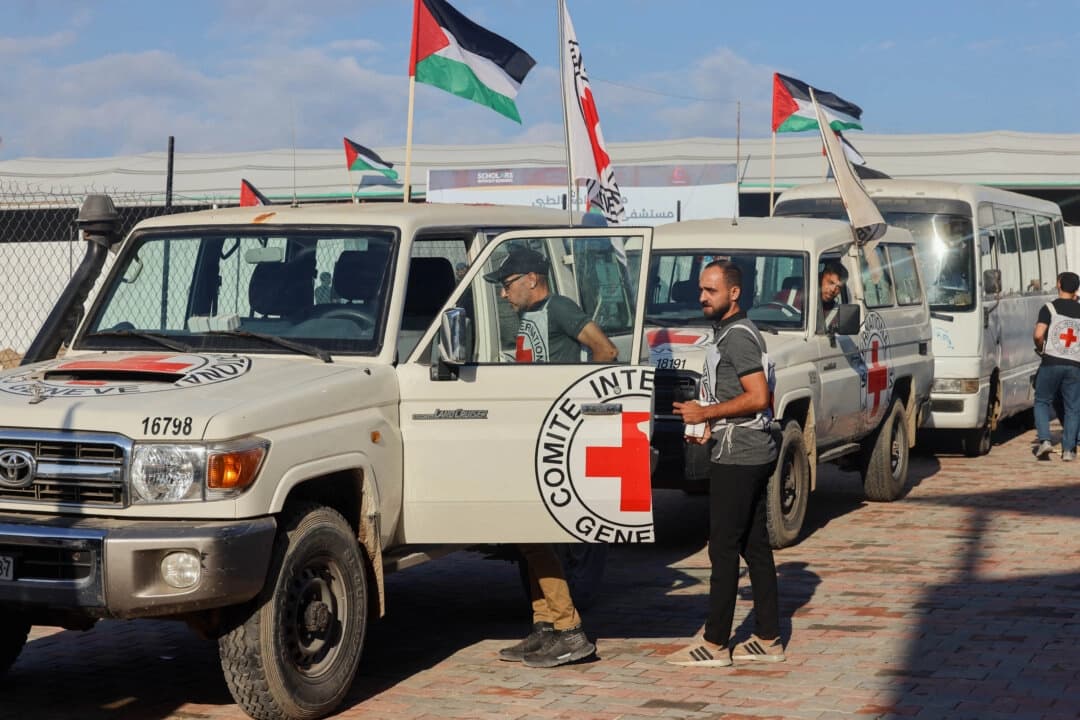 Vehículos de la Cruz Roja Internacional se dirigen hacia el este de la Franja de Gaza desde Khan Yunis el 13 de octubre de 2025. (Abdelrahman Rashad/Middle East Images/AFP vía Getty Images)