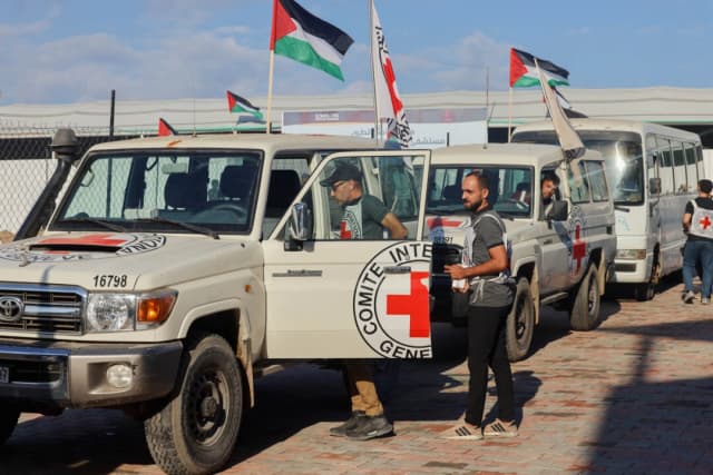 Vehículos de la Cruz Roja Internacional se dirigen hacia el este de la Franja de Gaza desde Khan Yunis el 13 de octubre de 2025. (Abdelrahman Rashad/Middle East Images/AFP vía Getty Images)