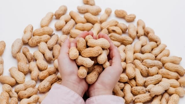 Las alergias al cacahuate en los niños disminuyen significativamente, según estudio