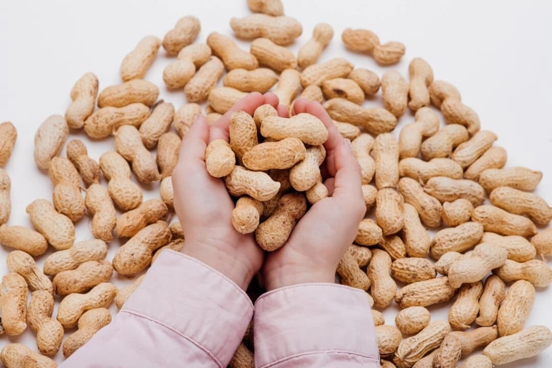 Los autores estimaron que, por cada 200 bebés expuestos a alérgenos alimentarios en las primeras etapas de la vida, se podría evitar que un niño desarrollara una alergia alimentaria. (AlexandrMusuc/Shutterstock)
