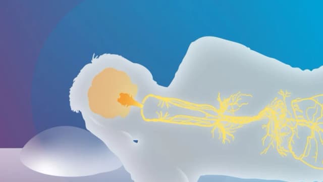 Activar el nervio vago alivia el insomnio: cómo hacerlo