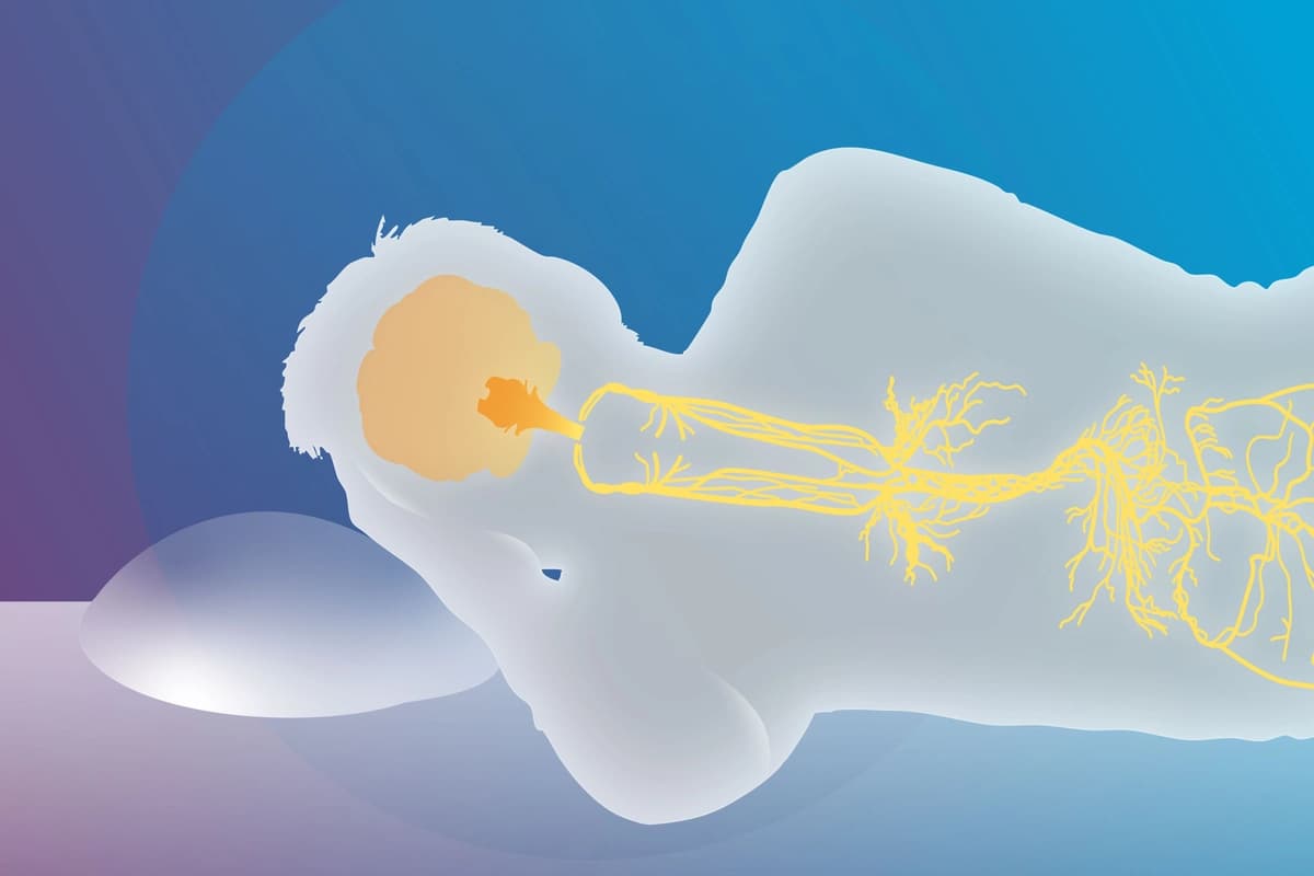 Activar el nervio vago alivia el insomnio: cómo hacerlo