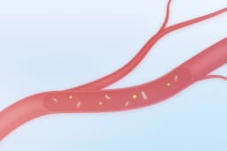 (Ilustración de The Epoch Times, Shutterstock)