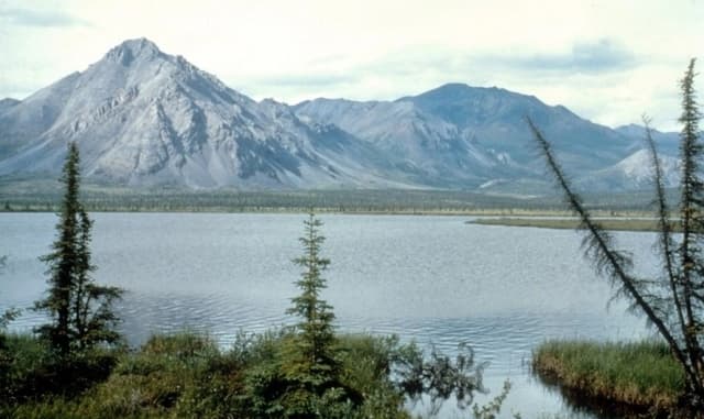 Administración Trump reabre refugio de vida silvestre en Alaska para explotar petróleo y gas