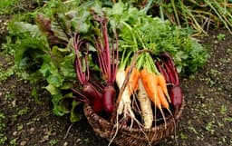 La ilusión de la seguridad: Cómo la burocracia está acabando con nuestra salud y nuestra libertad