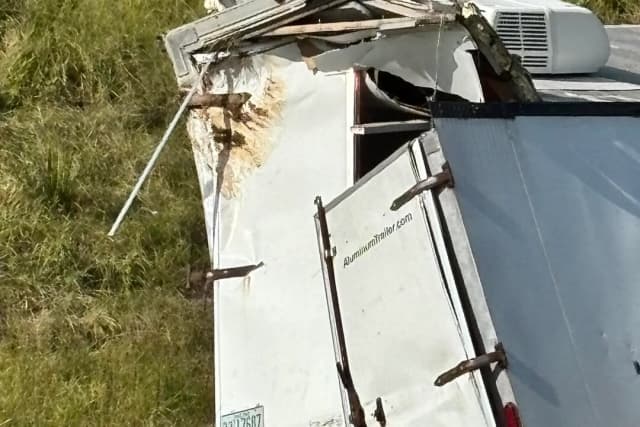 Vuelca camión que transportaba monos infectados con COVID y herpes