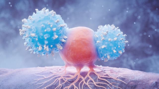 Vink Fan/Shutterstock