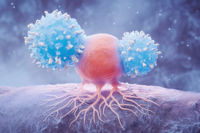 Nuevo tratamiento contra cáncer redujo los tumores en la mitad de los pacientes: ensayo clínico