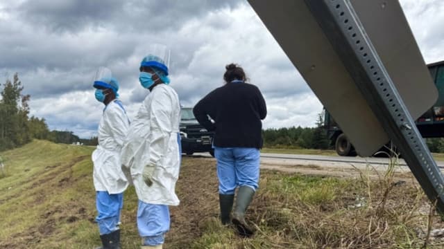 Una madre de Misisipi mata a un mono de laboratorio que se había escapado