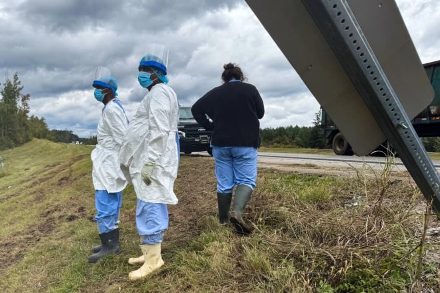 Personas con ropa protectora realizan una búsqueda a lo largo de una carretera en Heidelberg, Misisipi, cerca del lugar donde se volcó un camión que transportaba monos de investigación, el 29 de octubre de 2025. (Sophie Bates/AP)