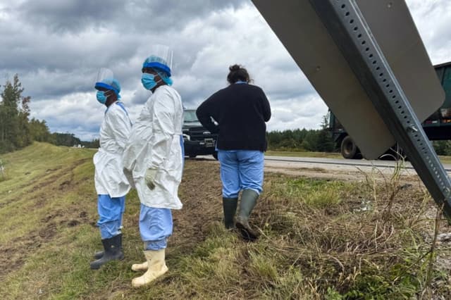 Una madre de Misisipi mata a un mono de laboratorio que se había escapado