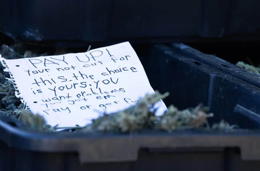 Los agentes del sheriff encontraron una nota amenazante en un cultivo ilegal de marihuana en la zona de Perris, California, el 4 de noviembre de 2025. (John Fredricks/The Epoch Times)
