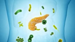 Estos son los 27 microbios que están relacionados con el cáncer de páncreas: Estudio