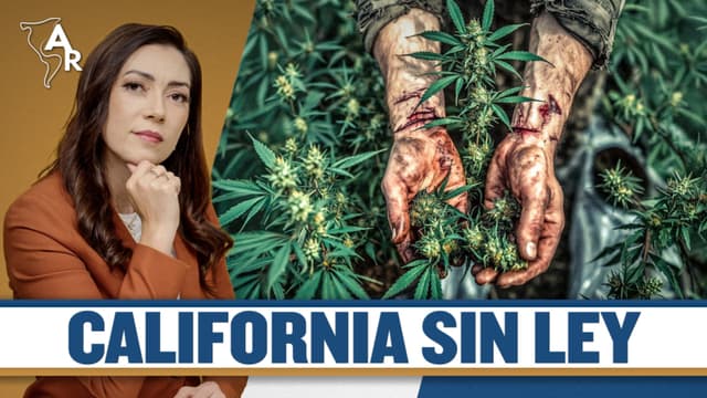 Narcos en California | Esclavitud, miedo y silencio