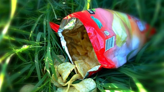 EE. UU. actualizará requisitos de etiquetado de alimentos modificados genéticamente