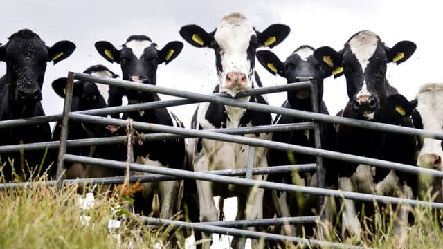 EE. UU. destaca visita de Rollins a México como la "misión comercial agroempresarial más grande"