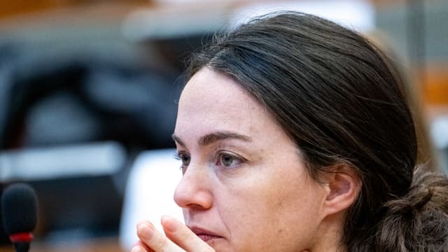 UE debe enfrentar la represión transnacional a los defensores de DD. HH., dicen legisladores