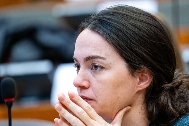 UE debe enfrentar la represión transnacional a los defensores de DD. HH., dicen legisladores