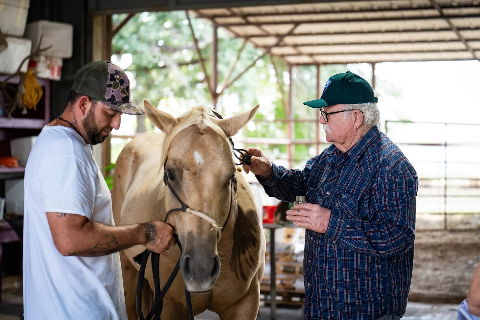 El veterinario Michael Vickers (derecha) atiende a un caballo en el Hospital Veterinario Las Palmas de Falfurrias, Texas, el 8 de octubre de 2025. Samira Bouaou/The Epoch Times