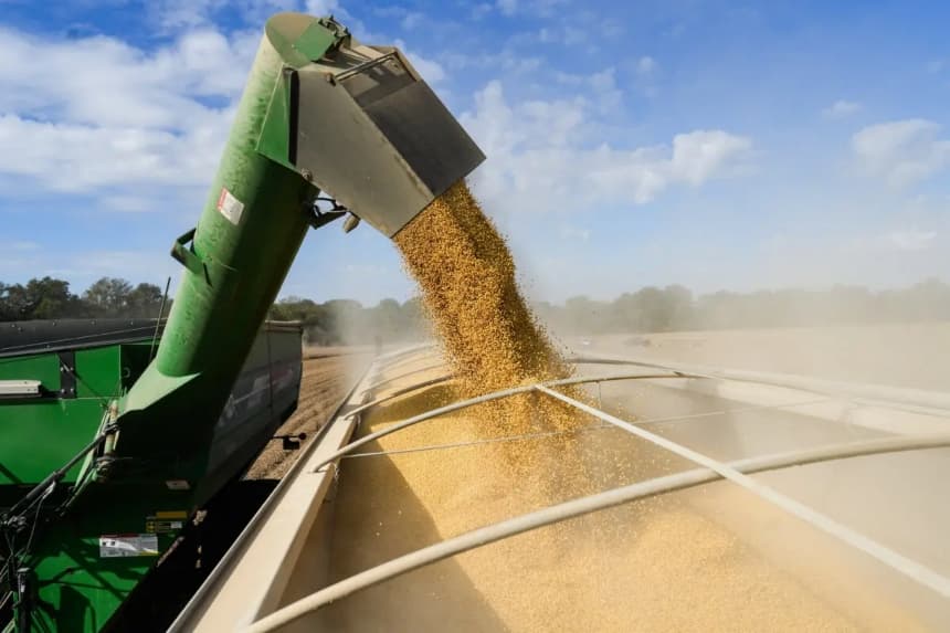 Una cosechadora descarga su soya en un camión en el condado de Tallahatchie, Misisipi, el 4 de octubre de 2025. (Samira Bouaou/The Epoch Times)