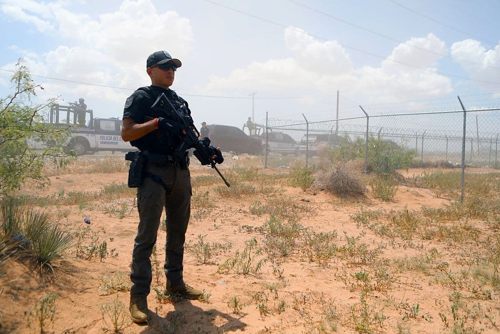 Autoridades detienen a 15 miembros de una célula criminal activa en el centro del país