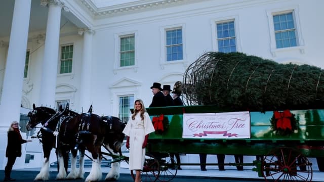La primera dama recibe el árbol de Navidad oficial de la Casa Blanca