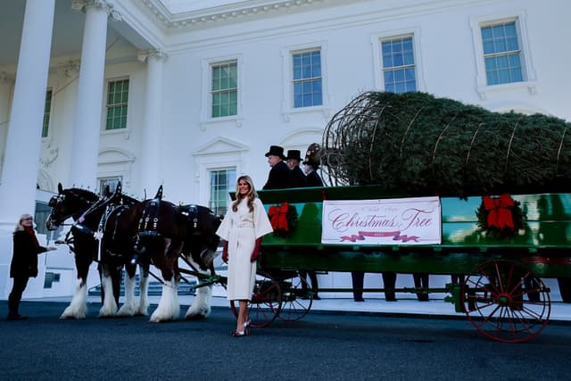 La primera dama recibe el árbol de Navidad oficial de la Casa Blanca
