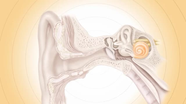 Ilustración de The Epoch Times (Shutterstock)