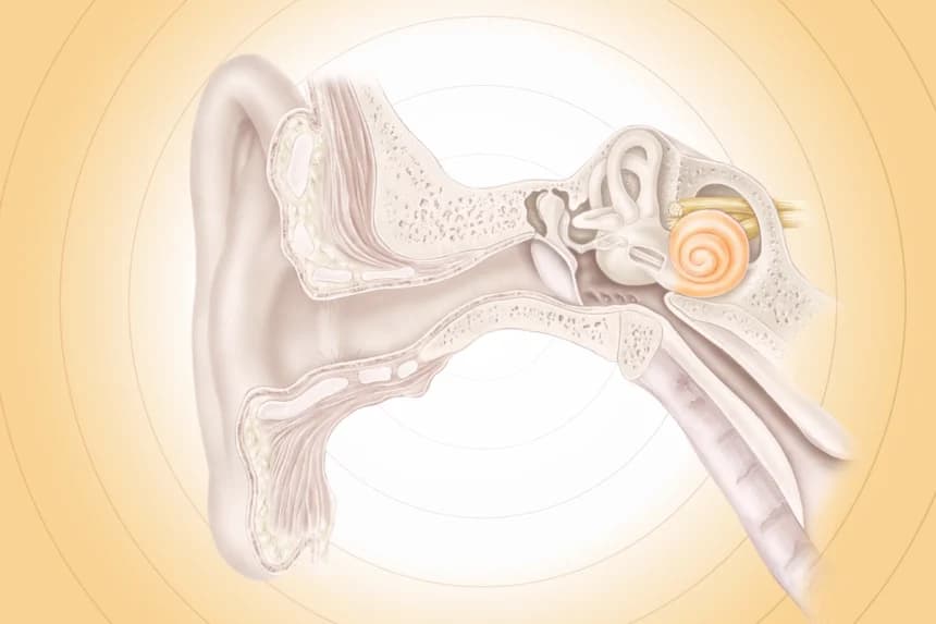 ¿Escucha zumbidos o pitidos que nadie más escucha? Podría ser Tinnitus y estas son las causas