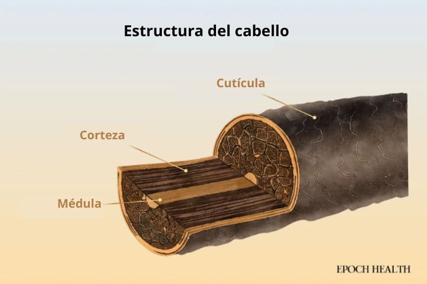 (Ilustración de The Epoch Times, Shutterstock)