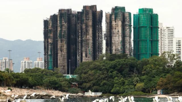 Pájaros vuelan junto a los edificios quemados del complejo de viviendas Wang Fuk Court después del incendio mortal, en Tai Po, Hong Kong, China, el 30 de noviembre de 2025. (REUTERS/Maxim Shemetov)