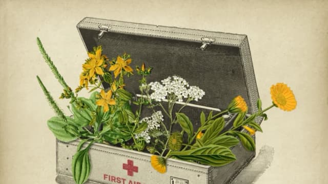 Exmédico militar enseña primeros auxilios con un botiquín que incluye plantas medicinales