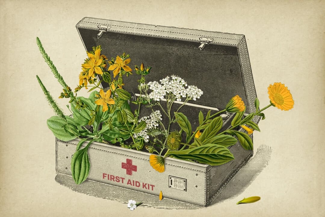 Exmédico militar enseña primeros auxilios con un botiquín que incluye plantas medicinales