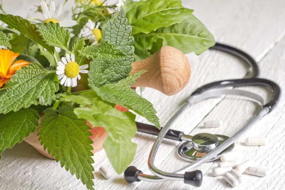 <em>Las hierbas son un aspecto tradicional de la medicina. (udra11/Shutterstock)</em>
