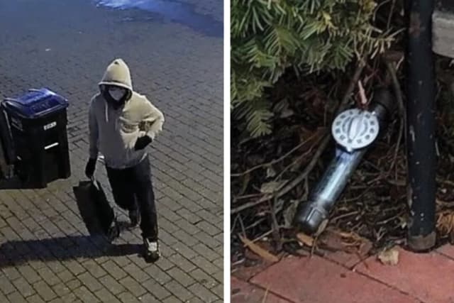 FBI detiene a sospechoso por bombas colocadas en Washington D. C. la noche previa al asalto del 6 de enero