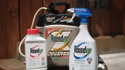 Monsanto propone un acuerdo de USD 7250 millones para resolver demandas por cáncer